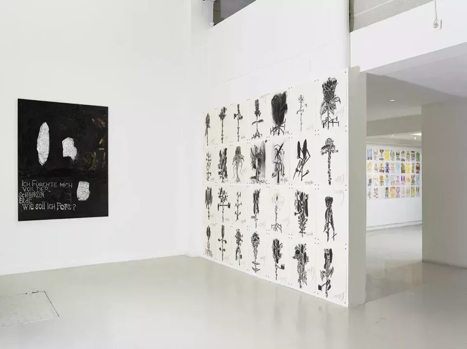 Galerie Eva vautier