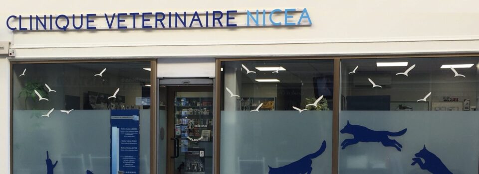 NICEA Clinique Vétérinaire - Clinique vétérinaire - Urgences Vétérinaires à Nice