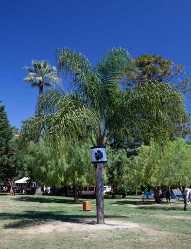 Parc Carol de Roumanie Nice